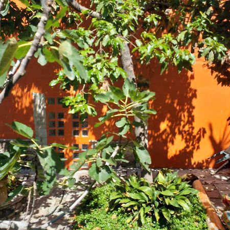 Appartamento Ex Hacienda Guanajuato Esterno foto